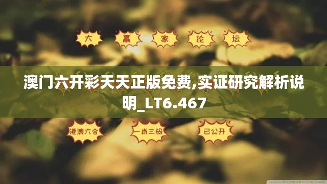 澳门六开彩天天正版免费,实证研究解析说明_LT6.467