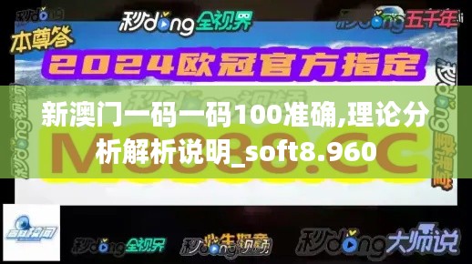 新澳门一码一码100准确,理论分析解析说明_soft8.960