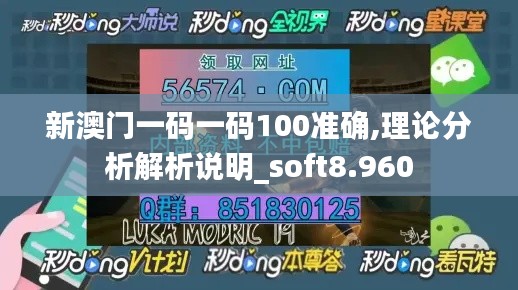 新澳门一码一码100准确,理论分析解析说明_soft8.960