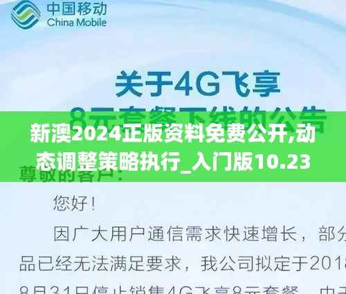 新澳2024正版资料免费公开,动态调整策略执行_入门版10.239