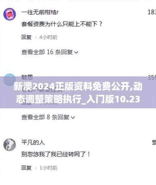 新澳2024正版资料免费公开,动态调整策略执行_入门版10.239