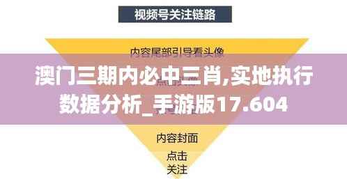 澳门三期内必中三肖,实地执行数据分析_手游版17.604