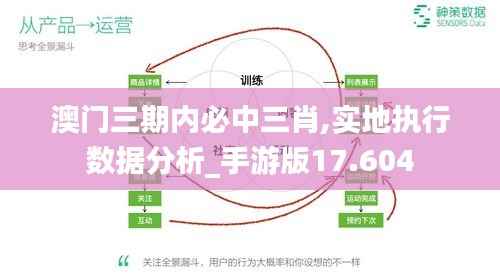 澳门三期内必中三肖,实地执行数据分析_手游版17.604
