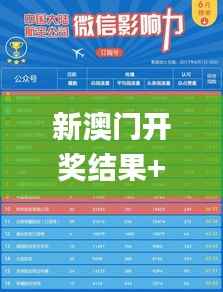 新澳门开奖结果+开奖记录表查询,实地验证分析策略_精英款10.780