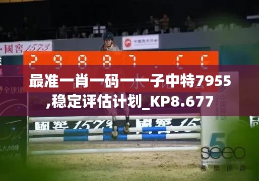 最准一肖一码一一子中特7955,稳定评估计划_KP8.677