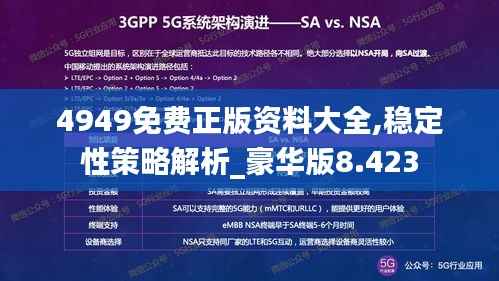4949免费正版资料大全,稳定性策略解析_豪华版8.423
