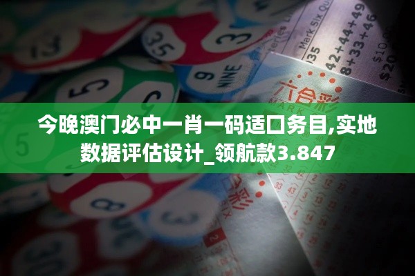 今晚澳门必中一肖一码适囗务目,实地数据评估设计_领航款3.847