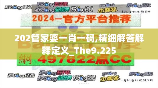 202管家婆一肖一码,精细解答解释定义_The9.225