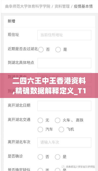 二四六王中王香港资料,精确数据解释定义_T10.350