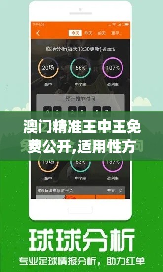 澳门精准王中王免费公开,适用性方案解析_粉丝版10.148