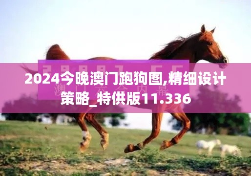 2024今晚澳门跑狗图,精细设计策略_特供版11.336