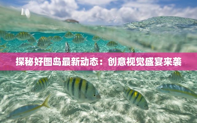 探秘好图岛最新动态：创意视觉盛宴来袭