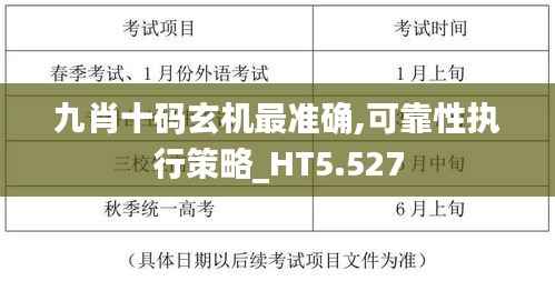 九肖十码玄机最准确,可靠性执行策略_HT5.527