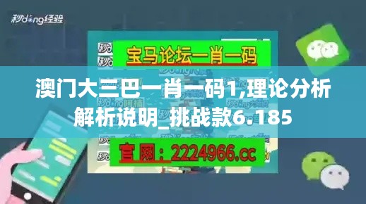 澳门大三巴一肖一码1,理论分析解析说明_挑战款6.185