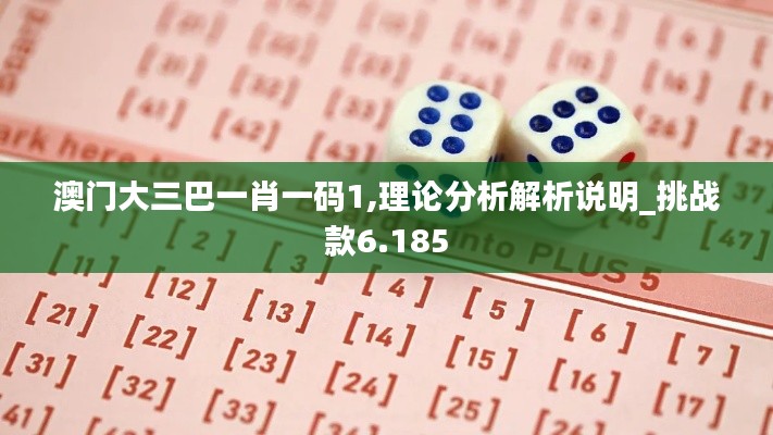 澳门大三巴一肖一码1,理论分析解析说明_挑战款6.185