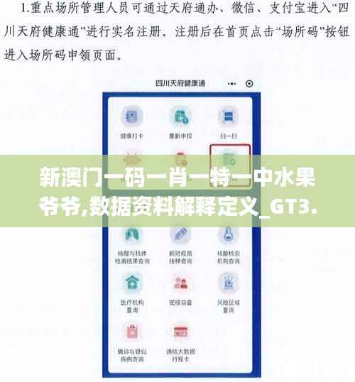 新澳门一码一肖一特一中水果爷爷,数据资料解释定义_GT3.309