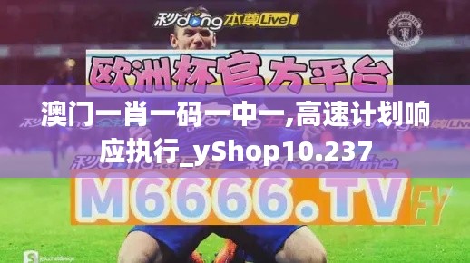 澳门一肖一码一中一,高速计划响应执行_yShop10.237
