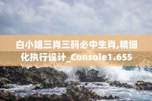 白小姐三肖三码必中生肖,精细化执行设计_Console1.655