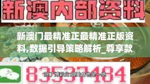 新澳门最精准正最精准正版资料,数据引导策略解析_尊享款2.723