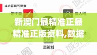 新澳门最精准正最精准正版资料,数据引导策略解析_尊享款2.723