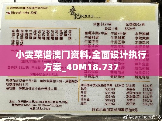 小雯菜谱澳门资料,全面设计执行方案_4DM18.737