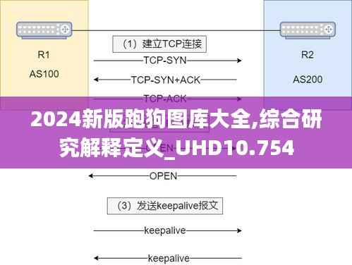 2024新版跑狗图库大全,综合研究解释定义_UHD10.754