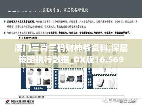 澳门三肖三码财神爷资料,深层策略执行数据_DX版16.569