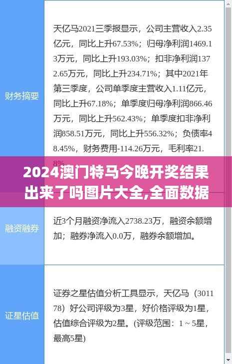 2024澳门特马今晚开奖结果出来了吗图片大全,全面数据解析执行_冒险款1.480