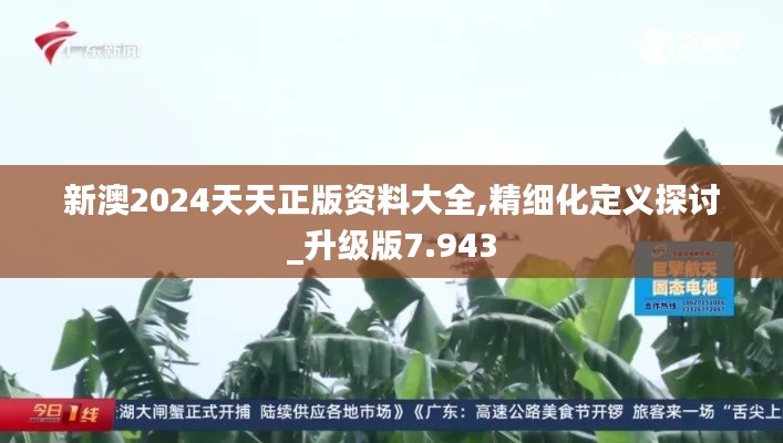 新澳2024天天正版资料大全,精细化定义探讨_升级版7.943
