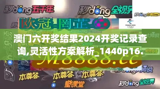 澳门六开奖结果2024开奖记录查询,灵活性方案解析_1440p16.671