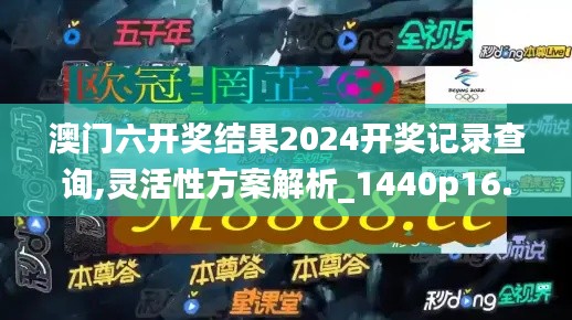 澳门六开奖结果2024开奖记录查询,灵活性方案解析_1440p16.671