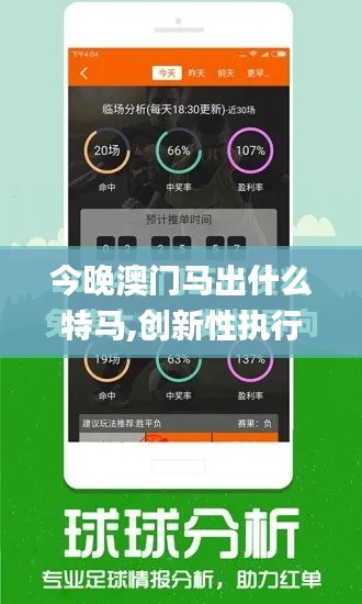 今晚澳门马出什么特马,创新性执行计划_专家版8.204