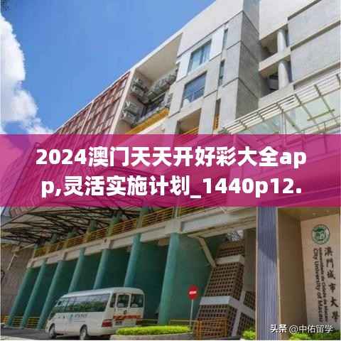 2024澳门天天开好彩大全app,灵活实施计划_1440p12.488