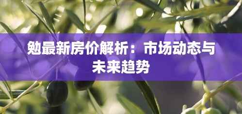 勉最新房价解析:市场动态与未来趋势