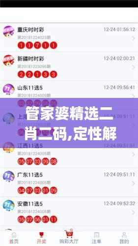 管家婆精选二肖二码,定性解析评估_定制版10.937