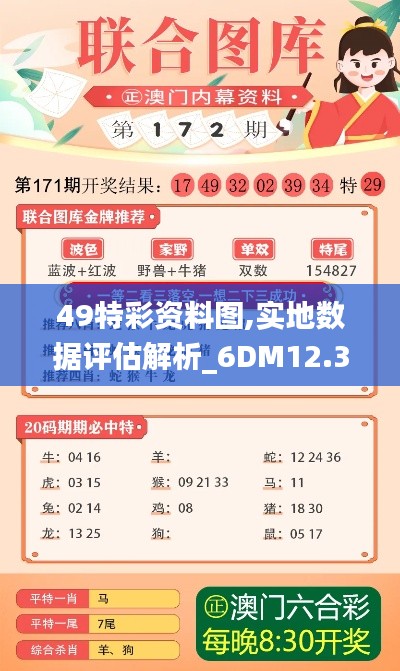 49特彩资料图,实地数据评估解析_6DM12.315