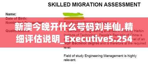 新澳今晚开什么号码刘半仙,精细评估说明_Executive5.254