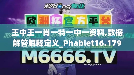 王中王一肖一特一中一资料,数据解答解释定义_Phablet16.179