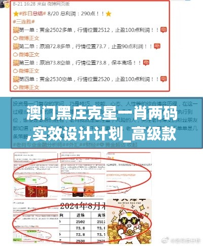 澳门黑庄克星一肖两码,实效设计计划_高级款3.297