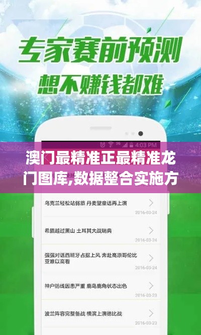 澳门最精准正最精准龙门图库,数据整合实施方案_VIP7.467