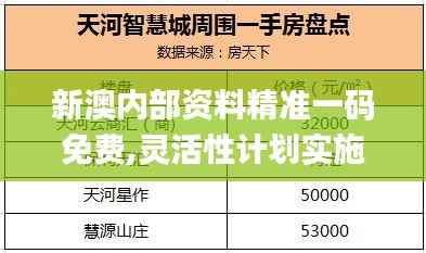 新澳内部资料精准一码免费,灵活性计划实施_Z3.423
