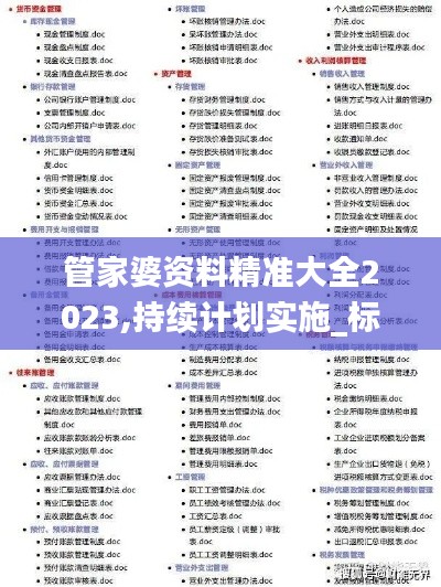 管家婆资料精准大全2023,持续计划实施_标配版3.369
