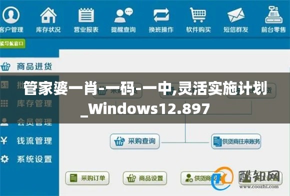 管家婆一肖-一码-一中,灵活实施计划_Windows12.897