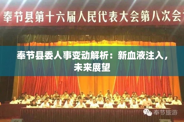 奉节县委人事变动解析:新血液注入,未来展望