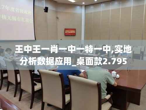 王中王一肖一中一特一中,实地分析数据应用_桌面款2.795