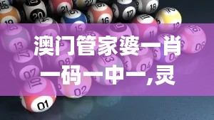 澳门管家婆一肖一码一中一,灵活设计解析方案_模拟版5.863
