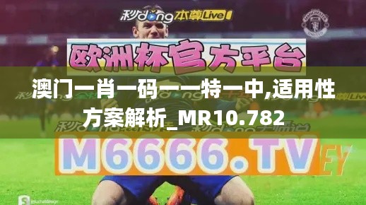 澳门一肖一码一一特一中,适用性方案解析_MR10.782