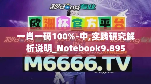 一肖一码100%-中,实践研究解析说明_Notebook9.895