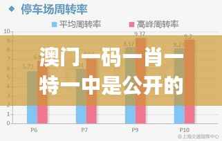 澳门一码一肖一特一中是公开的吗,全面设计执行数据_标配版3.529