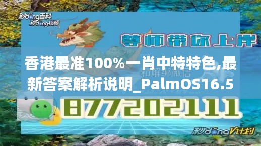 香港最准100%一肖中特特色,最新答案解析说明_PalmOS16.569